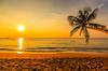 Venta Caliente Transfronteriza Paisaje de Playa de Hawái Pintura al Óleo Atardecer Mar Dorado Palmera Tropical Arte de Pared Pintura Decorativa para el Hogar