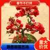 Venta al por mayor Begonia Flor en Maceta Plántula Bonsái Doble Pétalo Tronco Viejo Planta Verde de Patio Floración Cuatro Estaciones Interior