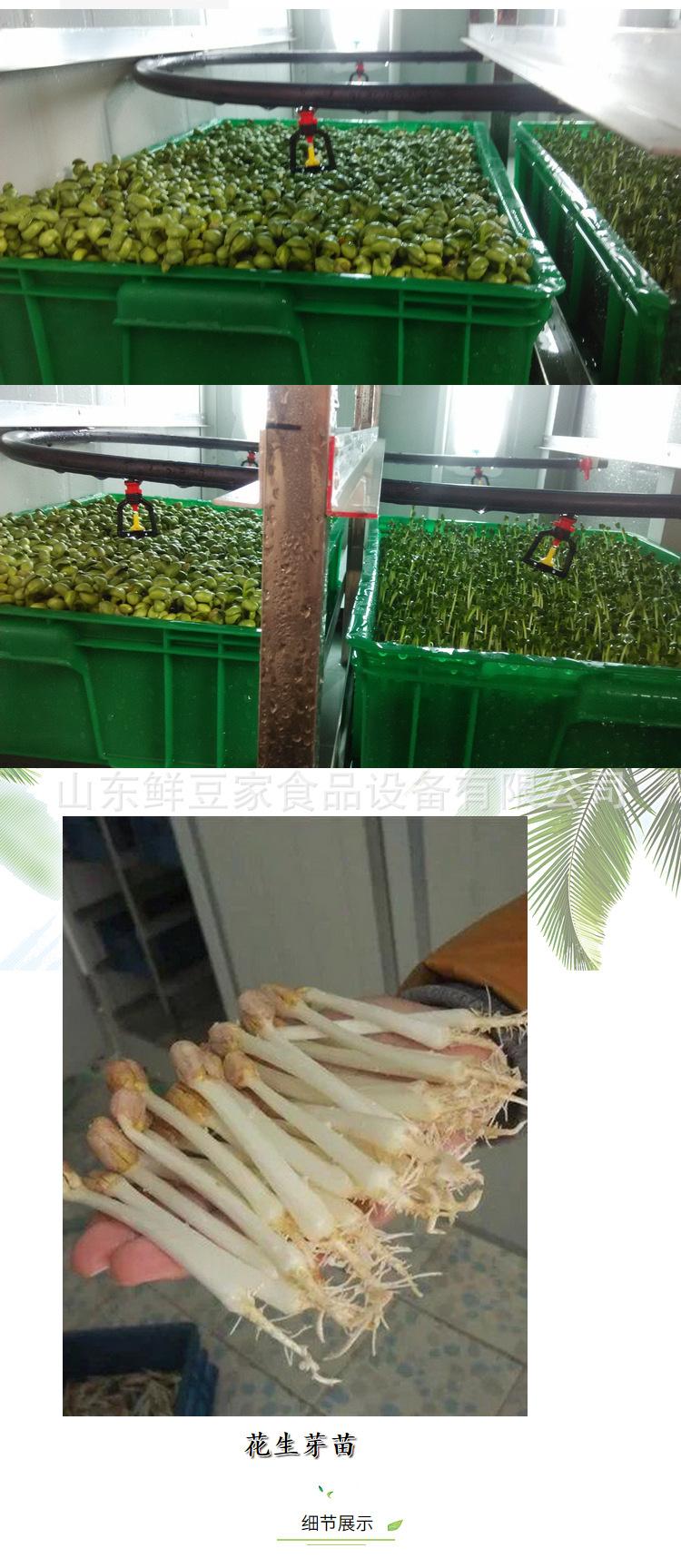 豆芽机a_05