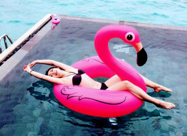 2972556865_1907860240