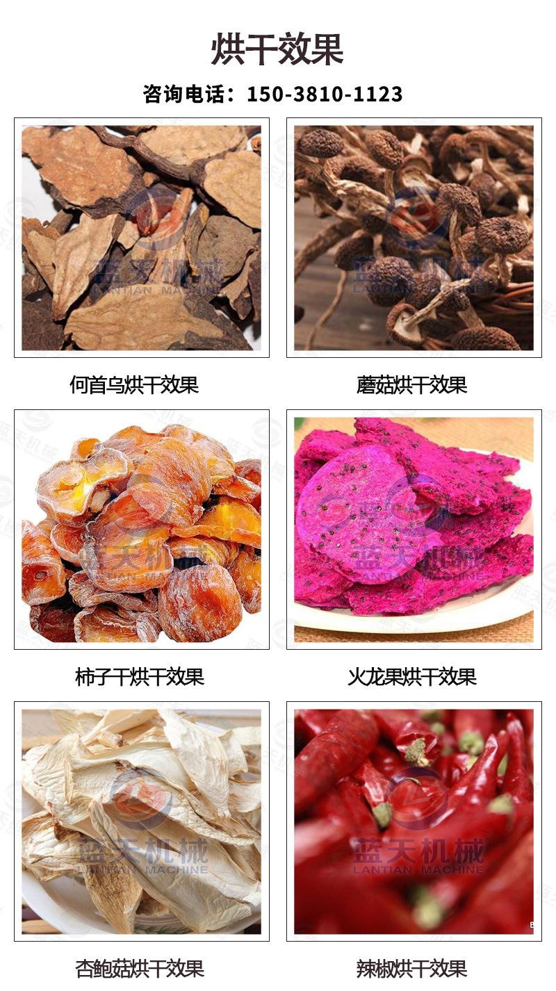 详情20盘_14.jpg
