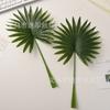 Hoja de palma de una sola rama estilo europeo simulación planta de girasol cola suelta material para pared decoración de boda arreglo floral accesorios de hoja de planta verde