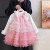 Girls' Mesh Cake Dress Set, Spring and Autumn 2026 New Fashionable Children's Princess Dress, Autumn Two-Piece Outfit