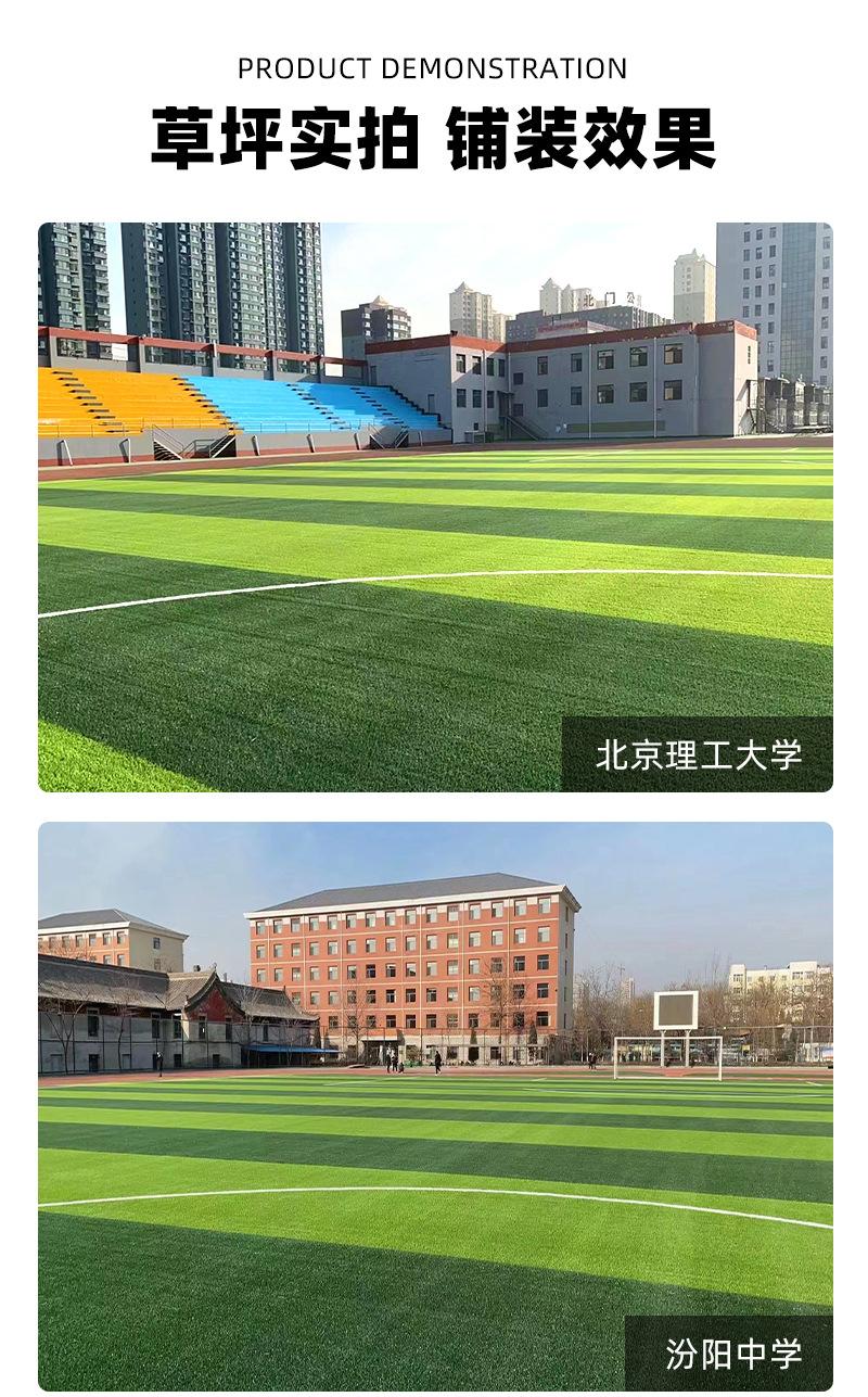 运动场草坪_11.jpg