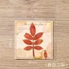 Série de Espécimes de Memória Folha de Ginkgo Marcador de Página Criativo Estilo Nacional Folha Metal Marcador de Página Caixa de Presente Marcador de Página de Presente de Aniversário