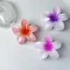 Fornecimento Direto Transfronteiriço de Presilhas de Cabelo de Flor de Frangipani, Acessórios de Cabelo de Alta Qualidade, Pentes de Cabelo Florais Vintage, Presilhas Laterais, Presilhas para Rabo de Cavalo