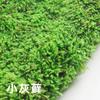 Musgo Cultivado Artificialmente Musgo de Terciopelo Corto Fresco Planta de Micropaisaje Gasa Musgo Gris Pequeño Bonsái Paisajismo de Patio