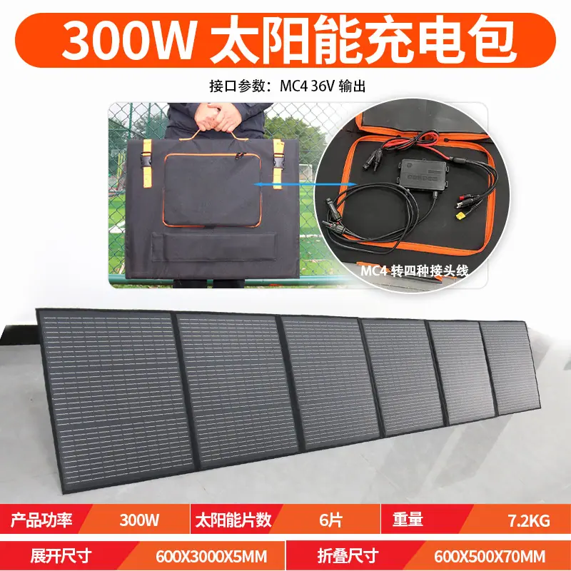 300w