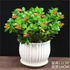 Orquídea Colgante Pez Dorado en Maceta con Capullos Planta Verde de Interior y Balcón Fácil de Cuidar en Otoño e Invierno, Resistente al Frío para Todas las Estaciones, Adecuada para Flores de Nochevieja
