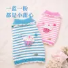 Otoño Invierno Adorable Cuello Solapa Cálido Suéter de Dos Piernas Ropa para Mascotas Perros Pequeños y Medianos Bichón Teddy Ropa para Perros Venta al por Mayor