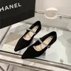 Sapatos femininos versáteis de bico fino para primavera e outono, com strass, estilo Mary Jane, novo salto grosso, sapatos de salto baixo para mulheres 2026