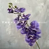Decoración de Mesa Escandinava de Falenopsis de 9 Cabezas Impresa en 3D Película Floral de Boda Flor Artificial de Falenopsis Accesorios para Fotografía