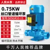 Bomba Centrífuga de Tubería Vertical Renmin 380V Industrial Doméstica 220v Bomba de Presión Bomba de Circulación de Agua Caliente para Caldera de Calefacción