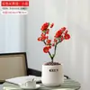 Wanfang Coroa da Longevidade Flor Begônia em Vaso Resistente ao Frio Seda de Jade Colorida Muda de Jardim Velho Tronco Flor de Bonsai Planta Anã