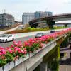 Maceteros Colgantes en Pilares de Aislamiento de Paso Superior, Mejora de la Vegetación en Puentes Peatonales, Proyecto de Plantas Verdes Transpirables de Auto-Absorción de Agua, Interior