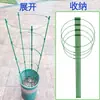 Soporte Retráctil de Tres Niveles para Plantas Trepadoras, para Rosas, Plantas de Pinza de Cangrejo y Cestas Verdes, Adecuado para Plantas Trepadoras de Balcón y Interiores
