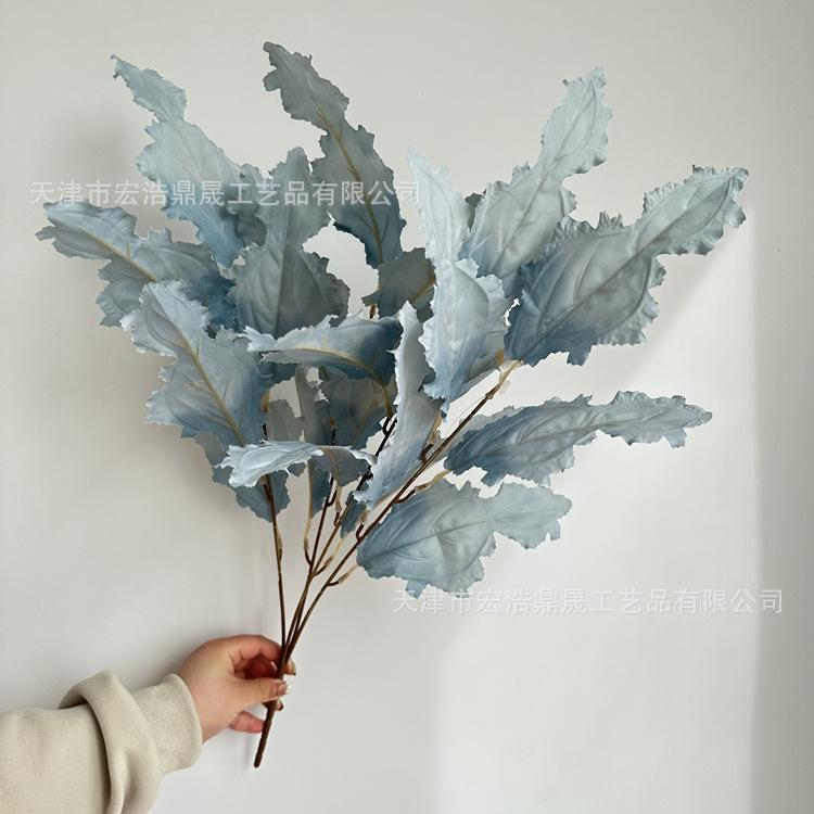 微信图片_202303241647073_副本