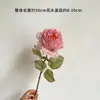 Fotografía de Viajes al Aire Libre Romántica Sensación Hidratante Rosa Rosa Ramo de Mano Coreano Foto Accesorios de Fotografía Retro