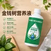 Árvore da Fortuna Solução Nutritiva Fertilizante Fertilizante Especial Trata Folhas Amareladas, Queda de Folhas, Podridão das Raízes, Plantas de Vaso Internas, Fertilizante para Flores, Universal