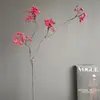 Frutas de Acebo Simuladas Bayas de Mimbre Envolviendo Frutas, Ramas de Frutas Simuladas, Arreglos Florales, Decoraciones Navideñas Estilo Zen