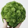 Bola de Flores Artificiales Verde Carnoso Plantando Bola Redonda Pegamento Suave Tamaño Hortensia Decoración para el Hogar Planta Artificial Carnosa