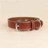 Collar Diario de Cuero para Perro Mascota Golden Retriever Corgi Perro Mediano y Grande Perro Grande Perro Pequeño Teddy British Shorthair Cuero
