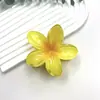 Novedad Pinza de Flor de Huevo Pinza de Pelo de Flor de Colores Retro Europea y Americana Pinza Lateral para Cabello de Mujer Pinza de Tiburón para Media Cabeza