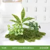 Paisajismo con Combinación de Plantas Verdes, Plantas Artificiales, Musgo Simulado, Decoración de Micro-Paisaje para Esquinas Interiores, Plantas Pequeñas en Maceta