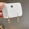 Pendientes de estrella de cinco puntas estilo ins, elegantes pendientes de celebridades de Internet, aguja de plata, pendientes femeninos de otoño e invierno, nuevos pendientes de diseño de nicho.