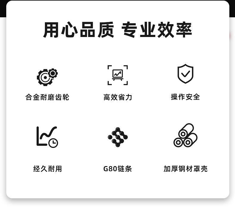 DHS环链电动葫芦详情 (3).jpg