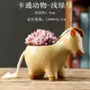 Atacado do Fabricante Vasos de Flores Suculentas Animais Peixe-Palhaço Desenho Animado Cerâmica Diâmetro Pequeno e Médio Argila Respirável Artesanato Fofo