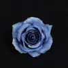 Rosas artificiais para decoração de cena de casamento e confissão, decoração externa, cabeças de flores de seda, rosas artificiais no atacado