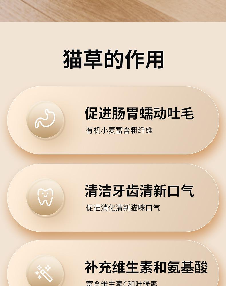 详情页 (5).png