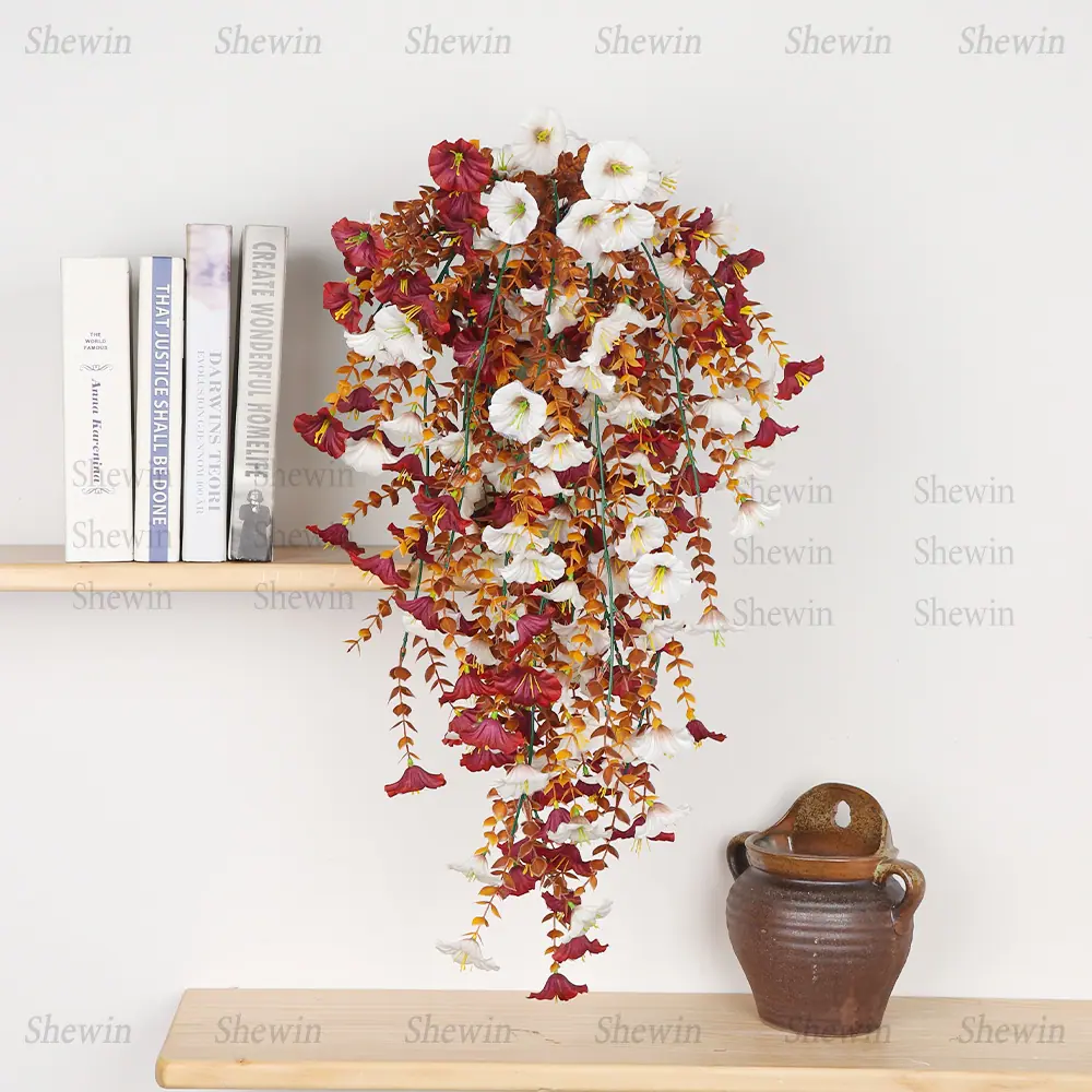 DS2094-1主图2.jpg
