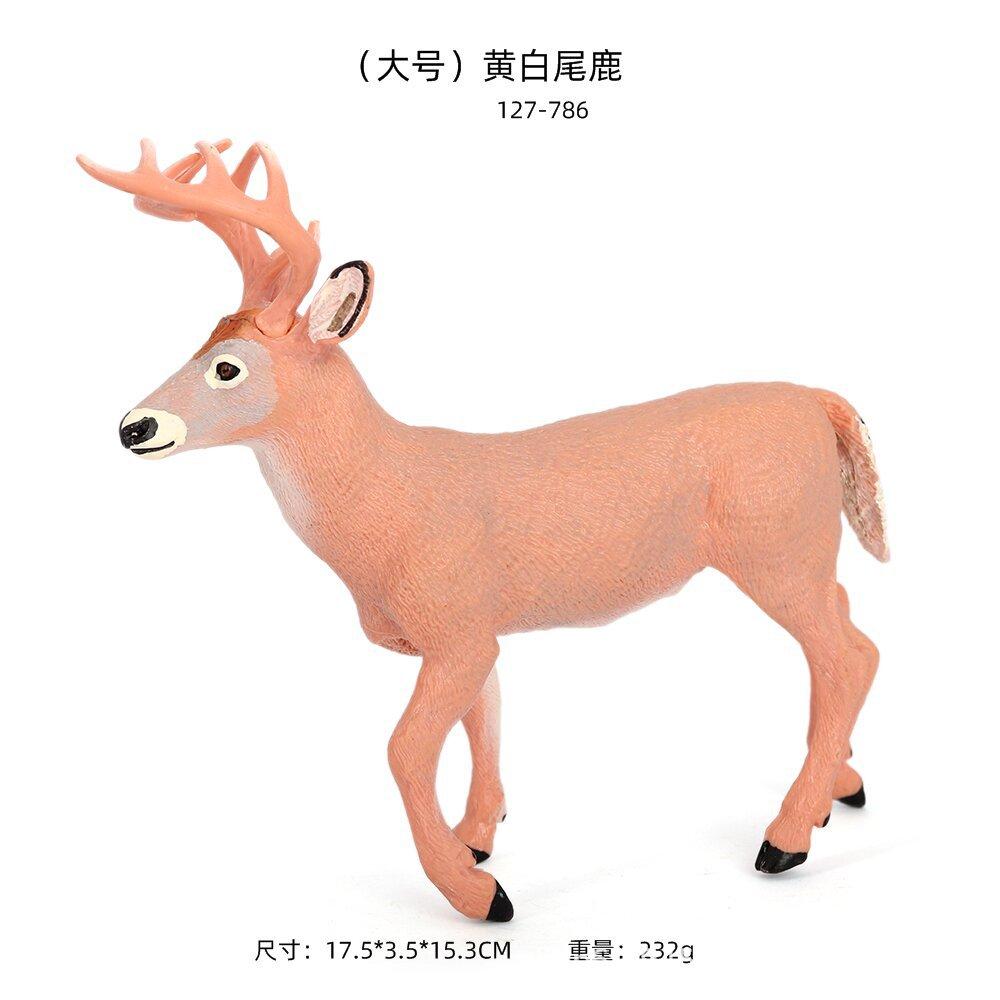 尺寸