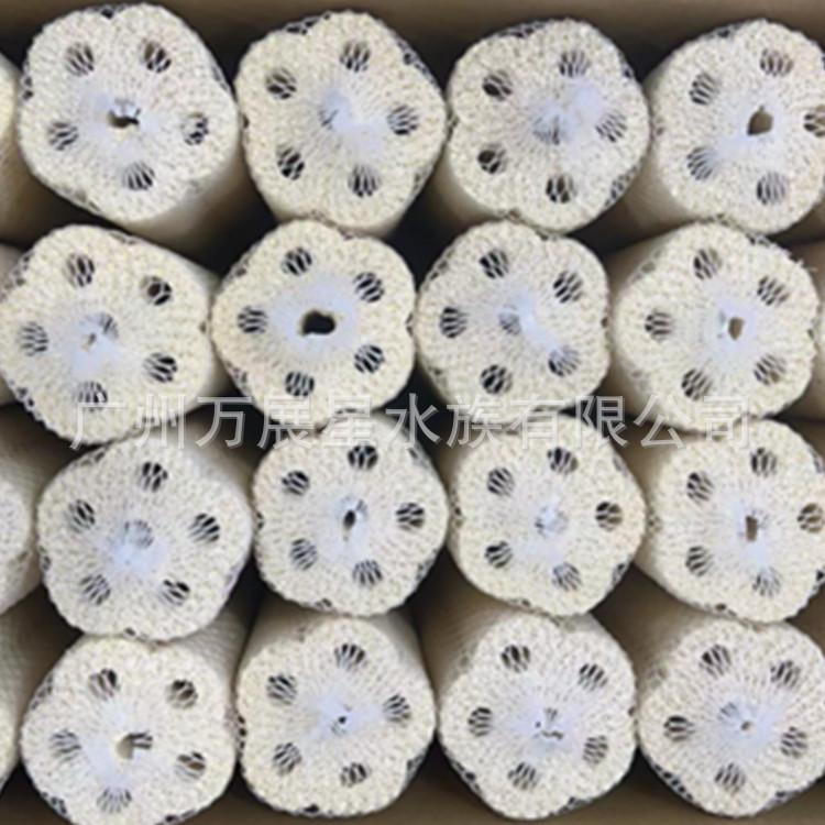 微信图片_20230701132440