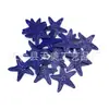 Venda Direta de Fábrica de Novos Artesanatos da Série Marinha: Estrela-do-Mar Tricolor de 30mm, Concha Redonda, Âncora de Ferro, Leme de Navio, Acessórios para Suéter