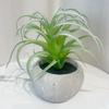 Decoración interior del hogar simulación suculenta pequeña planta en maceta diseño de escritorio planta adornos en maceta suculenta falsa planta verde mayoreo