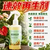 Regenerador de Acción Rápida para Plantas Líquido Revitalizante para Flores Planta en Maceta Tallos Desnudos Hojas Amarillentas Caída de Hojas Jardín Universal Fertilizante Soluble en Agua Listo para Usar