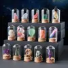 Venta al por mayor de fábrica Piedra Bruta de Cristal Natural Muestra de Mineral para Niños Divulgación Científica Enseñanza Piedra Semipreciosa Adorno de Escritorio para el Hogar