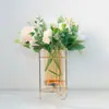 Estrutura de Metal Vaso de Vidro Transparente Criativo Simples Recipiente para Arranjo de Flores Mesa de Jantar Gabinete de TV Decoração Retrô para Casa
