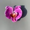 Simulação Película Impressa em 3D Cabeça de Flor Phalaenopsis Amazon PU Impermeável Decoração de Cabeça de Flor Phalaenopsis Phalaenopsis em Estoque