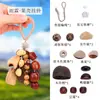 Sonajero de Cáscara de Fruta Natural Colgante de Bolso Tejido de Planta Llavero de Fruta Hecho a Mano Adorno Curativo Estilo Bosque Regalo Decorativo