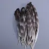 Venda Direta de Fábrica de Quase 100 Tipos de Acessórios Naturais de Penas Pequenas para Joias DIY, Acessórios de Cabeça, Broches, Chapéus, Materiais de Decoração para Artesanato