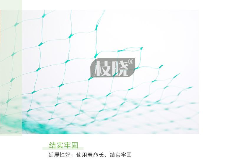澳莉嘉详情页-配件-防鸟网2_06.jpg