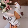 Sandalias Romanas de Verano 2026 Nuevas para Mujer, de Talla Grande, Huecas, con Tacón Grueso, de Una Sola Tira, para Comercio Electrónico Transfronterizo Europeo y Americano