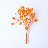Flores Secas Transfronterizas, Gypsophila, Flores de Cristal, Mini Ramos, Ramos de Punta de Dedo Mezclados y Combinados, Cajas de Regalo, Decoraciones para Tarjetas de Felicitación
