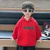 Sudadera para Niños Otoño 2026 Estilo Nuevo Top de Manga Larga de Otoño para Niños Ropa con Capucha Bordada para Bebé Estilo Primavera/Otoño Niño