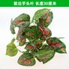 Césped artificial de plástico con simulación de plantas verdes para pared, sala de estar, balcón, fondo verde, flores, puerta, decoración