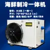 Máquina Enfriadora de Estanques de Mariscos y Peces de Frecuencia Variable Lumei Máquina de Refrigeración Máquina Termostática OneTwo Máquina Integrada para Acuicultura de Productos Acuáticos Tanque de Peces